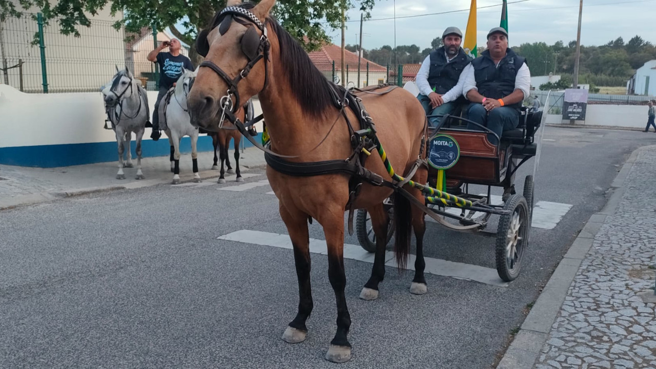 1.ª Etapa da XXI Romaria a Cavalo Moita - Viana do Alentejo