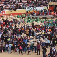 Desfile de Carnaval das Escolas