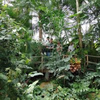 Passeio ao Oceanário de Lisboa